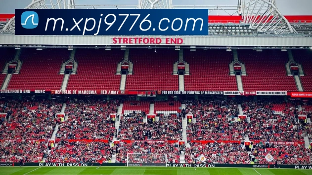互动解说服务